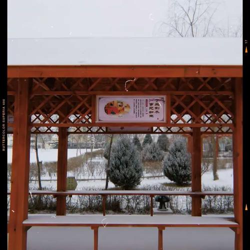 "岁月凝香,又见雪纷飞"相约郭家桥中心学校,共赏冬日之美景
