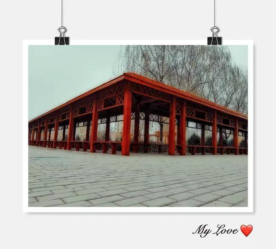 "岁月凝香,又见雪纷飞"相约郭家桥中心学校,共赏冬日之美景